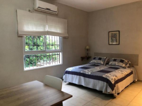 Increíble Monoambiente centrico